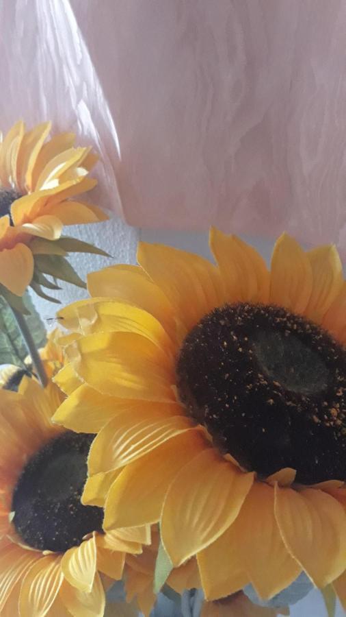 Casa Del Girasole Βίλα Letojanni Εξωτερικό φωτογραφία